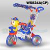  WS824A(CP)  - �������� � ����������� ��������������